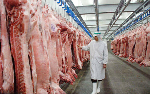 Meat Cool Room