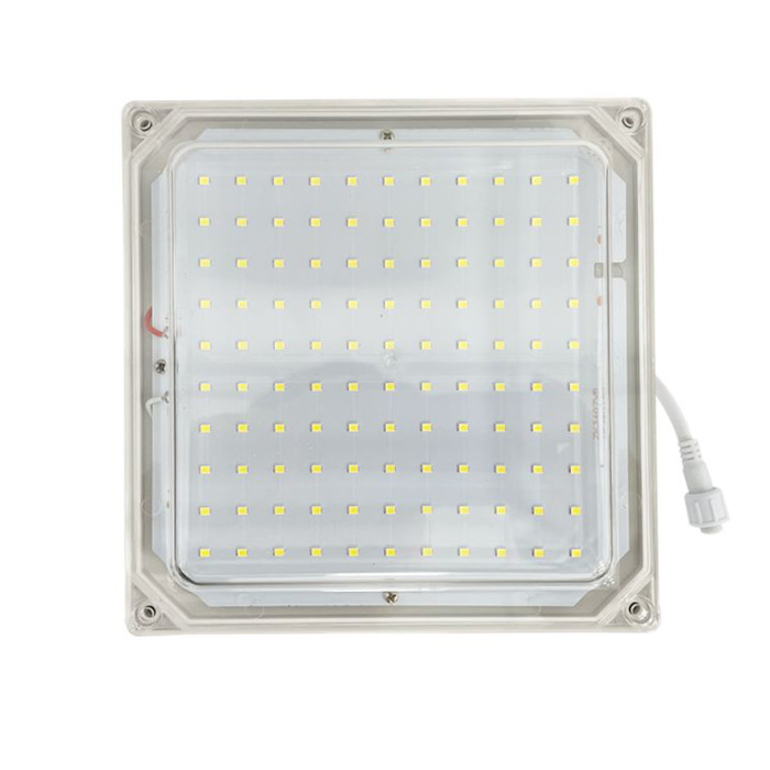 Cold Room LED Light