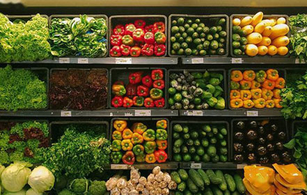 Fruits and Vegetables Cold Storage Room's Component