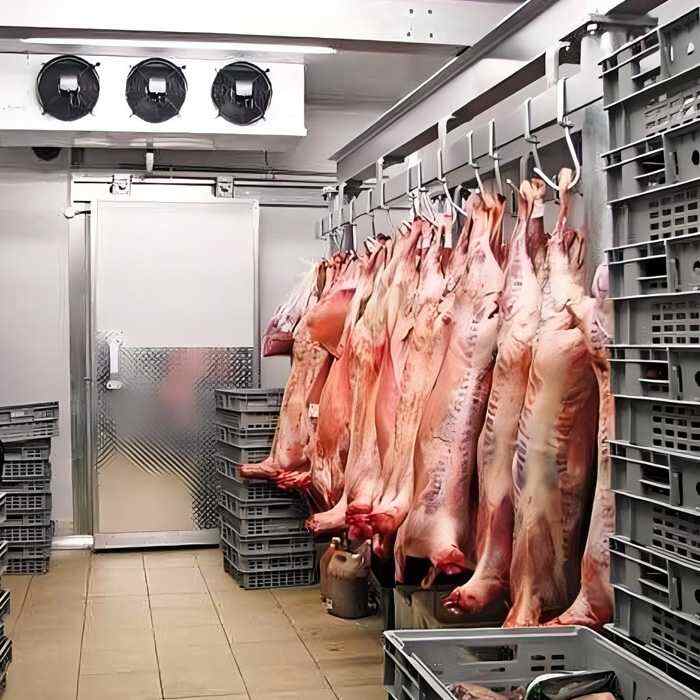 Meat Cool Room & Butcher Cold Room for Sale