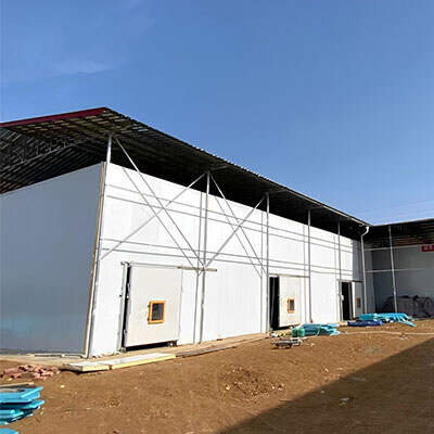 Cold Storage Facility Freezer Room Design for Food & Fruit 