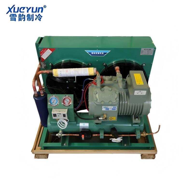Air-cooled Condensing Unit with Semi-hermetic Compressor for Cold Room