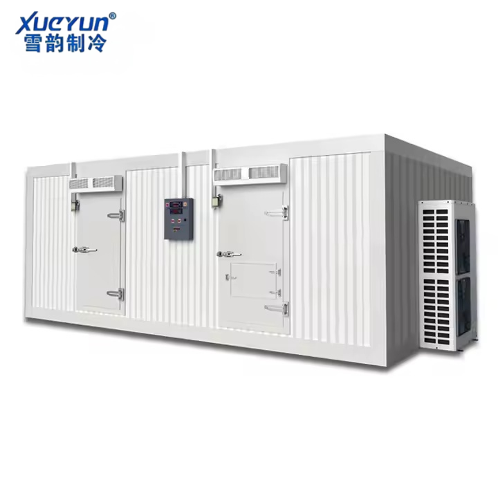 Large-scale Cold Storage Rooms Freezer Rooms