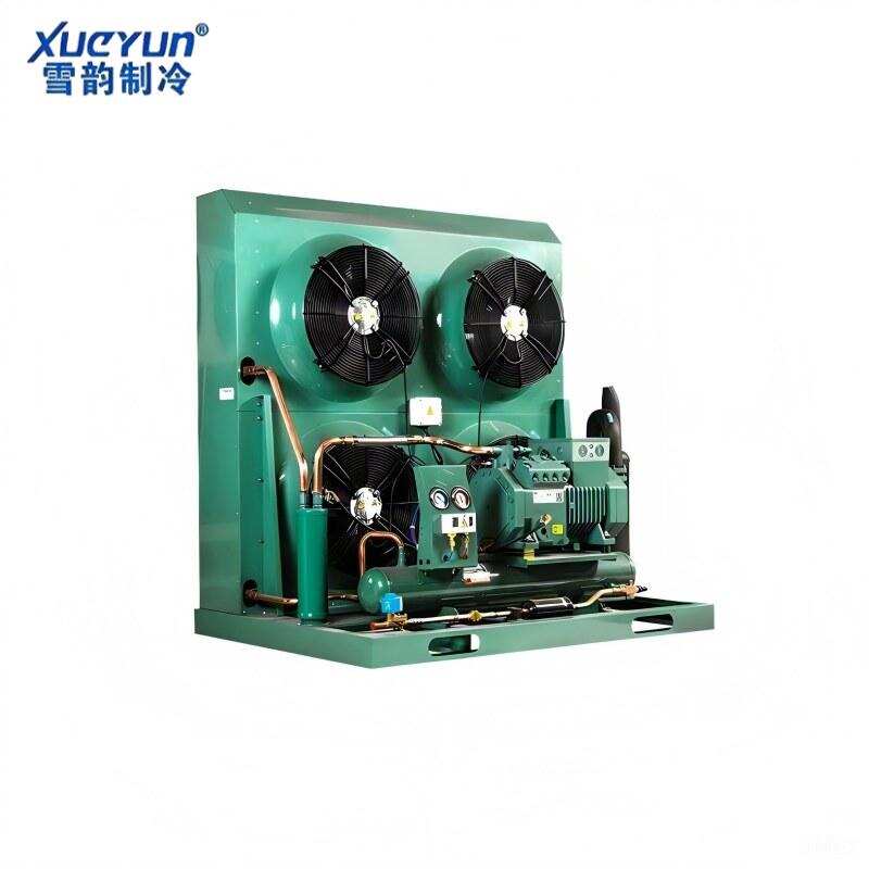 Open Type Bitzer Condensing Unit for Cold Room